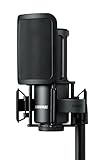 Shure SM4 Studio Recording Microphone Kit, XLR Home Studio Condenser Mic with Mix-Ready Audio - All-Metal Construction, Includes Detachable Magnetic Pop Filter & Shock Mount (SM4-K-KIT)