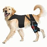Pawfun Dog Knee Brace for Torn ACL Hind Leg, Dog Leg Brace Helps Reduce Pain from Torn CCL, Luxating Patella, Ligament Injuries, Hip Dysplasia, XL