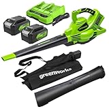 Greenworks 48V(24V x 2) Aspirafoglie Soffiatore a Batteria con Tracolla, Motore Brushless, 322km/h, 9m³/min, Sacco di Raccolta 45L, 2 4Ah Batterie, e Caricabatterie, Garanzia 3 Anni GD24X2BVK4X
