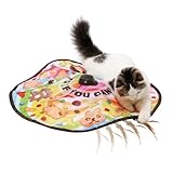 猫壱 キャッチ・ミー・イフ・ユー・キャン2 猫用 電動 おもちゃ