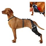 KISFLY Dog Knee Brace for Torn ACL Hind Leg Support – Heavy-Duty Dog Leg Brace for Back Leg with Hot & Cold Therapy Gel Pack, ACL Knee Brace for Dogs, Hip & Joint Recovery, Left Leg Size XL
