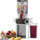Anybear Cold Press Juicer, 200W Slow Masticating Juicer 4.3" Large Feed Chute Fit Whole Fruits Vegetables | Upgraded Auger | Tritan Materials | BPA Free | Easy to Clean with Brush (Silver)