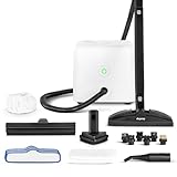 Nettoyeur vapeur Dupray Neat avec kit de 17 accessoires – Nettoyage puissant et sans produits chimiques pour sols, voiture, carrelage, joints et plus, performance polyvalente en profondeur