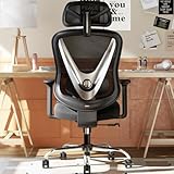 HOLLUDLE Silla de Oficina ergonómica con Soporte Lumbar 3D y reposabrazos 3D Ajustables – Diseño en Forma de V, Silla de Escritorio cómoda para Oficina y hogar, Negra
