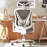 HOLLUDLE Ergonomic Office Chair with 3D Lumbar Support & 3D Adjustable Armrests – V-Back Design, Comfortable Desk Chair for Office & Home, White