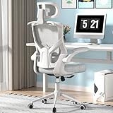 FOKESUN Ergonomic Office Chair, High Back Mesh Desk Chair with Thick Molded Foam Cushion, Coat Hanger, Adjustable Headrest, Lumbar Support, Tilt & Lock Function - Computer Chair (Light Grey)
